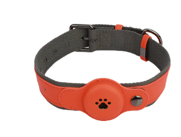 Orange Modus GPS collar for dogs and cats – stylish and trackable pet accessory