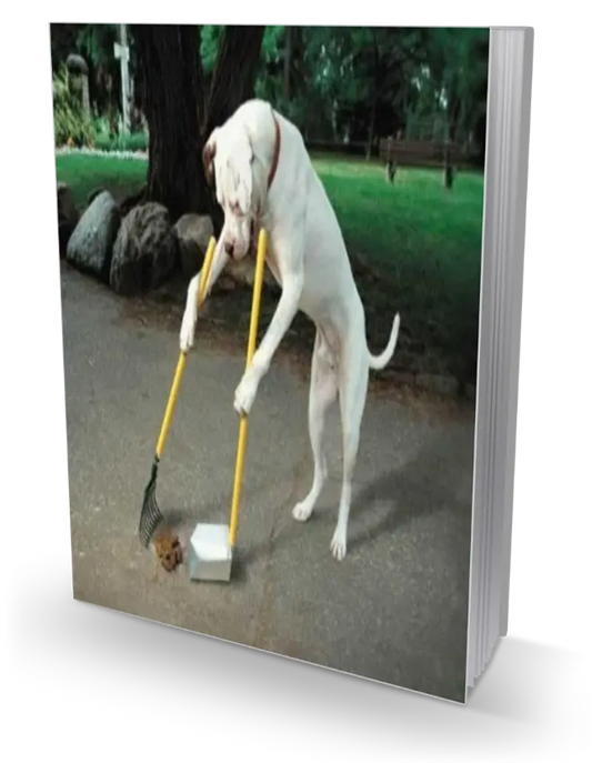 Dog Training Techniques